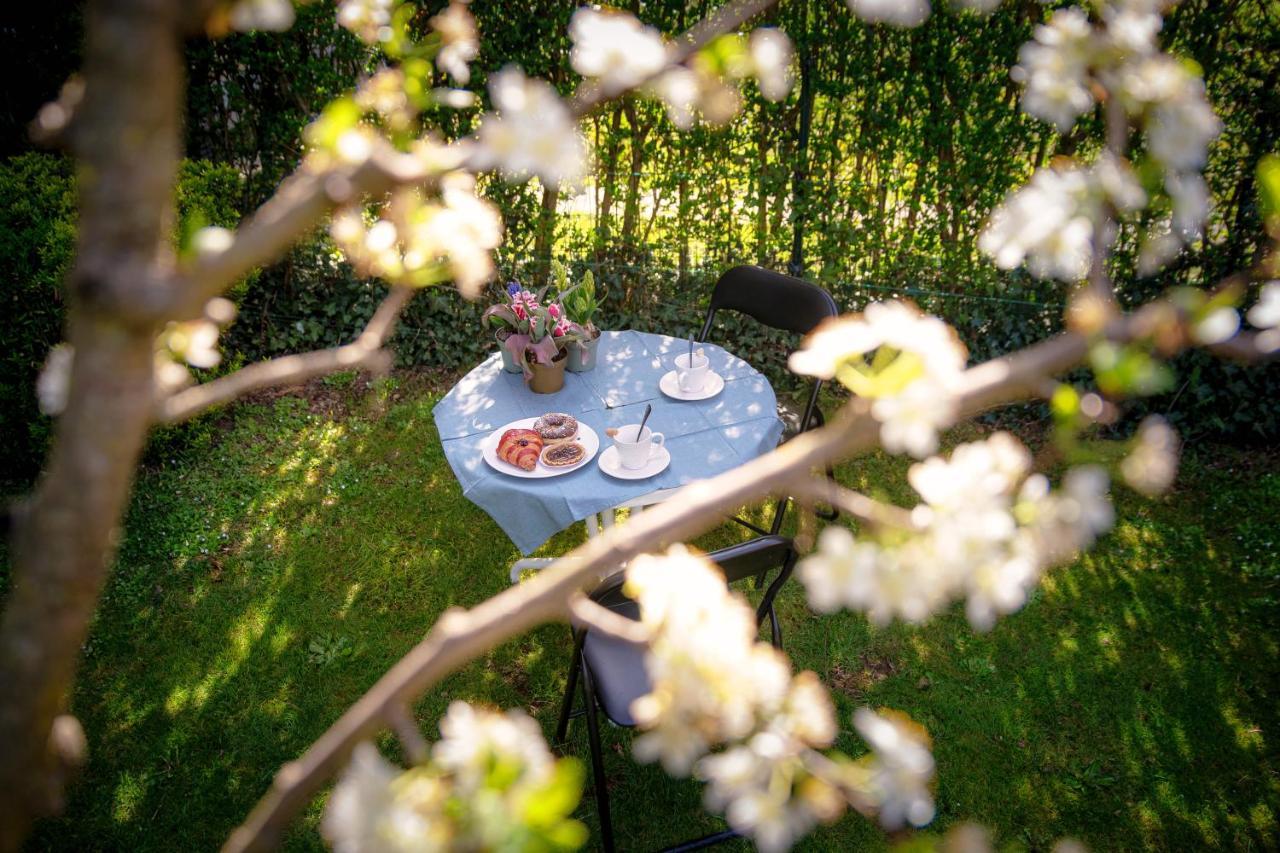 My Sweet Garden - By Myhomeincomo Cassina Rizzardi Exterior photo